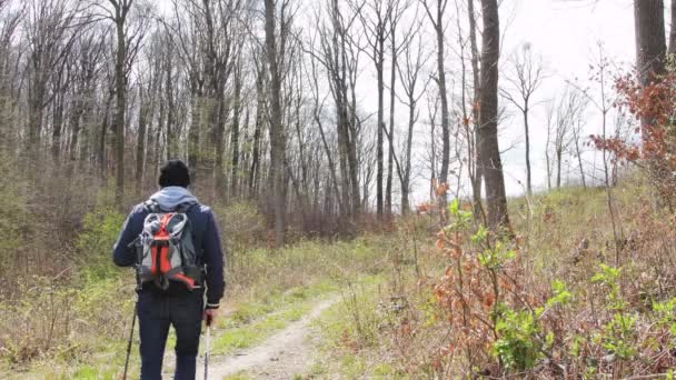 Muž Turistickým Batohem Šplhá Stezce Lese Skandinávskou Chůzí Koncept Zdravý — Stock video