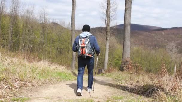 Homem Com Uma Mochila Caminha Pela Floresta Nas Montanhas Caminhada — Vídeo de Stock
