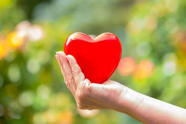 Kırmızı bir kalbi olan bir kadının elinin doğal bulanık arka planda çekilmiş yakın çekimi. Aşk kavramı, sevgililer günü, sağlık. Tebrik kartı. 