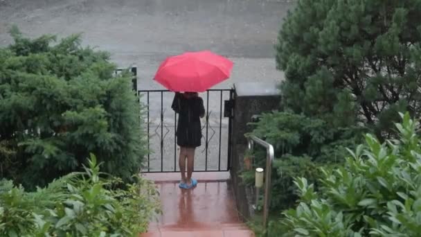 Lonely Boy Stands Rain Umbrella Gate Waiting His Mom Friends — Stock Video