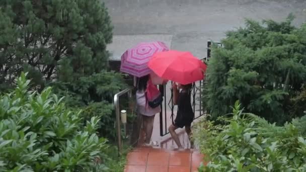 Ragazzo Sotto Pioggia Scorta Sua Madre Fuori Dal Wicket Strada — Video Stock