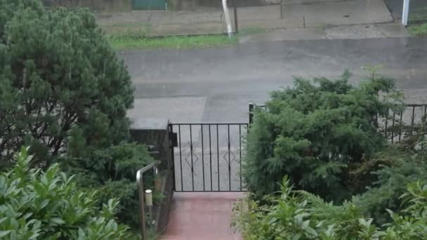 从院子的顶部俯瞰街道 金属栅栏 倾盆大雨 人行道上的灌木丛 — 图库视频影像