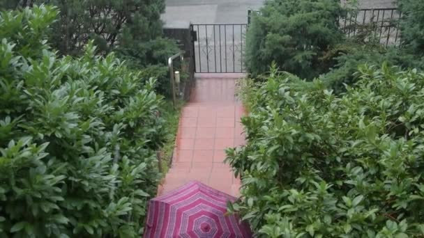 Yağmurda Şemsiyeli Anne Oğlu Dışarıda Tepede — Stok video