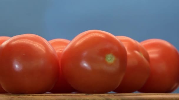 青い背景に木製スタンドで回転する赤いトマト 熟したトマトの散乱 ループビデオ ロイヤリティフリーのストック動画
