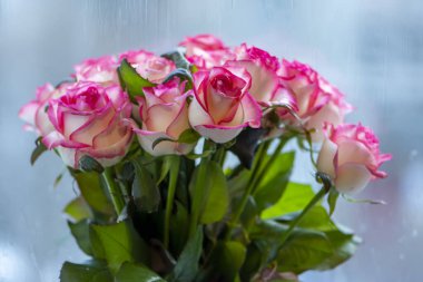 Pencerenin önünde bir buket gül duruyor, camda yağmur damlaları..