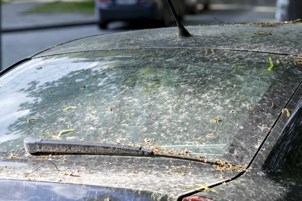 Şehir caddesinde terk edilmiş ve kirli bir yolcu vagonu..