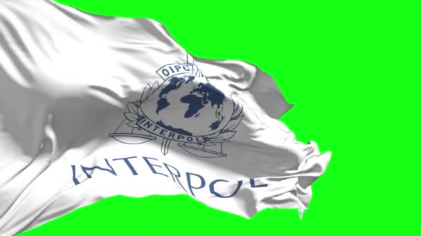Flagga Med Interpol Emblem Utvecklas Vinden Slow Motion Grön Bakgrund — Stockvideo