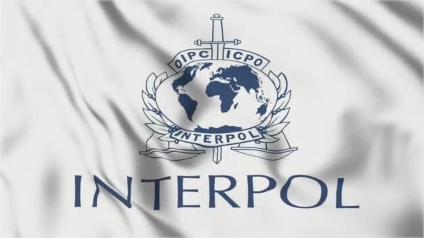 Bandera Con Emblema Organización Internacional Policía Criminal Interpol Inscripciones Abreviaturas — Vídeos de Stock