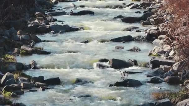 Mountain River Rapids Vízesések — Stock videók