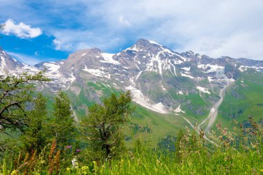 Yazın görkemli dağ manzarası yemyeşil ve bulutlu mavi gökyüzü.