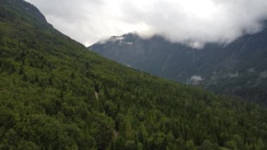 Avusturya 'daki dağların ve ormanların hava manzarası, kamera hareketi.