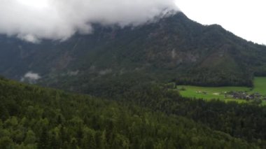 İnsansız hava aracı manzarası, bulutlardaki alp zirveleri, yeşil çayırlar ve ormanlar.
