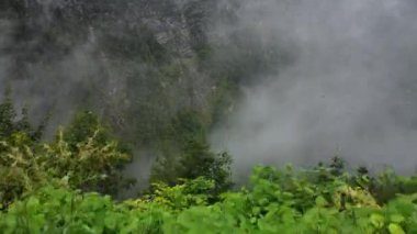 Yazın Avusturya 'daki bir dağın tepesinden çekilen yüksek irtifa manzarası, bulutlu bir günde sis ve bulutlar, dağlar ve vadiler., 