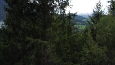 Hareket halindeki drone görüntüleri, Avusturya 'daki dağ manzarası, sis ve bulutlar, bulutlu bir günde dağlar ve vadiler.
