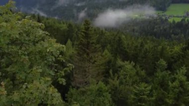 Yazın Avusturya 'daki bir dağın tepesinden çekilen yüksek irtifa manzarası, bulutlu bir günde sis ve bulutlar, dağlar ve vadiler., 