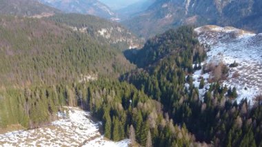 Dağlarda karla kaplı kozalaklı ağaçların panoramik drone görüntüsü.