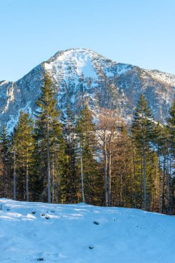 Karla kaplı tepeleri, kozalaklı ormanları ve mavi gökyüzü olan sakin bir kış manzarası.