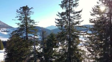 Kışın ormanlık vadisi olan bir dağ sırasının hava perspektifi..