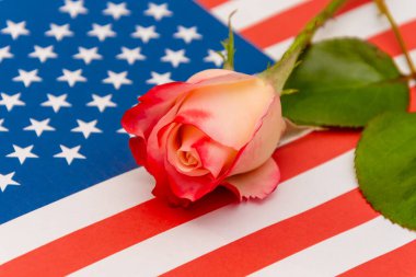 Amerikan bayrağı ve gülü, 4 Temmuz, Anma Günü, Gaziler Günü ve Milli Birlik temalarının görsel sembolüdür.