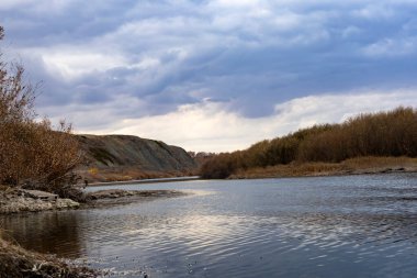 Ishim Nehri bir nehir yatağı, bir sonbahar manzarası. Yüksek kalite fotoğraf
