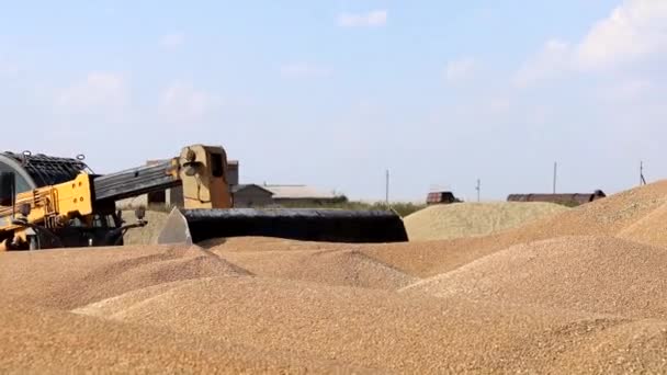 Ladeschaufel Belädt Getreide Aus Nächster Nähe Großer Haufen Getreidemais Einer — Stockvideo