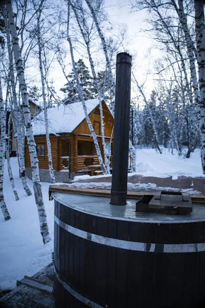 A hot tub is surrounded by snow in front of a log cabin, nestled in a winter landscape with a cloudy sky and snowcovered trees