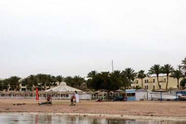 Sallanan palmiye ağaçları ve arka planda görünen çeşitli binalarla süslenmiş güzel bir sahil manzarası çarpıcı bir manzara yaratıyor.