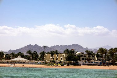 Arka planda muhteşem bir sıra dağ bulunan yüksek palmiye ağaçlarının bulunduğu güzel bir sahil, muhteşem bir manzara yaratıyor.