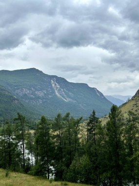 Bu görkemli bir dağ sırasının nefes kesici bir görüntüsü, ön planda yemyeşil ağaçlar ve arka planda akan sakin bir nehir var.