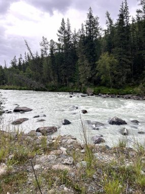 Huzurlu bir nehir zarif bir şekilde akar, yemyeşil ağaçlar ve sağlam kayalarla çevrili, hayat dolu canlı bir ormanın tam ortasında.