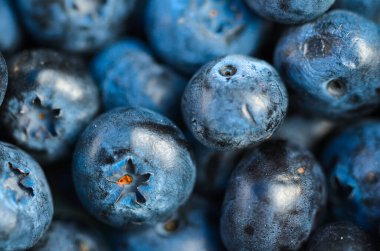 Pek çok yabanmersininden yakın çekim ya da makro
