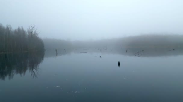 冬と霧の天気の間の湖の風景ビデオ — ストック動画
