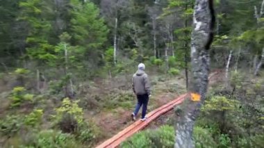 Doğada yürüyen ya da koşan bir adam