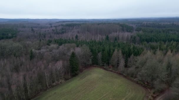 Vídeo Aéreo Fazenda Floresta — Vídeo de Stock