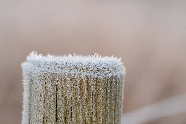 フェンスの凍結木製のポールの閉鎖またはマクロ — ストック写真