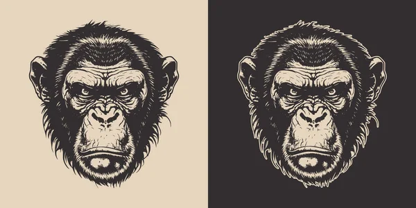 一套复古的愤怒的猴子 可用于标志 招贴画 装饰设计 单色图形艺术 雕刻风格矢量 — 图库矢量图片