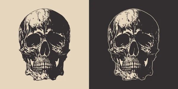 Set Vintage Retro Scary Anatomy Skull Can Used Emblem Logo — стоковый вектор