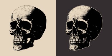 Set of vintage retro scary hipster skull. Can be used like emblem, logo, badge, label. mark, poster or print. Monochrome Graphic Art. Vector. Hand drawn element in engraving style.	