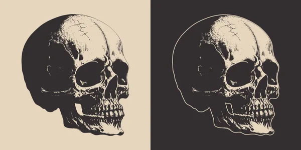 Set Vintage Retro Scary Hipster Skull Can Used Emblem Logo — стоковий вектор