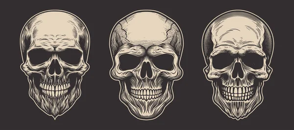 Set Vintage Retro Scary Hipster Skull Can Used Emblem Logo — Stock vektor