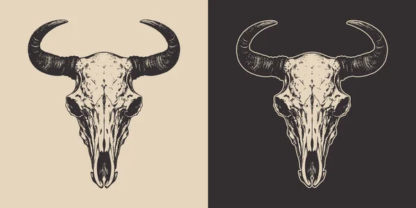 Set Vintage Retro Scary Spooky Cow Bull Skull Head Skeleton — Stockvektor