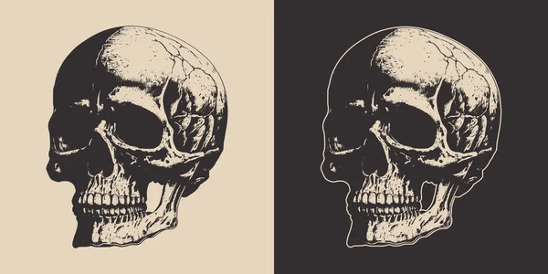 Set Vintage Retro Scary Hipster Skull Can Used Emblem Logo — Image vectorielle
