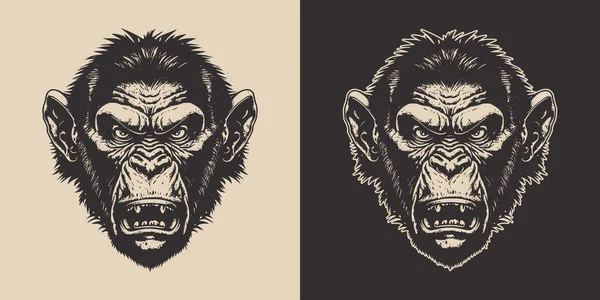 一套复古的愤怒的猴子 可用于标志 招贴画 装饰设计 单色图形艺术 雕刻风格 病媒图解 — 图库矢量图片