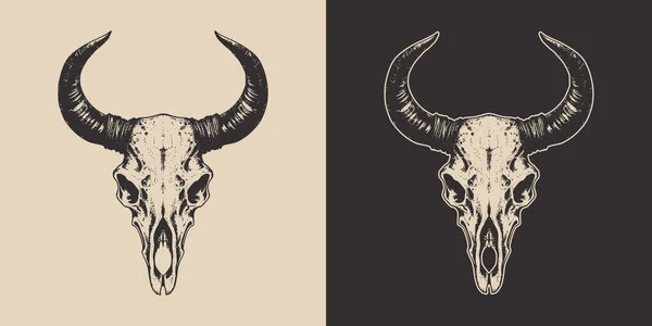 Set Vintage Retro Scary Spooky Cow Bull Skull Head Skeleton — Stock Vector