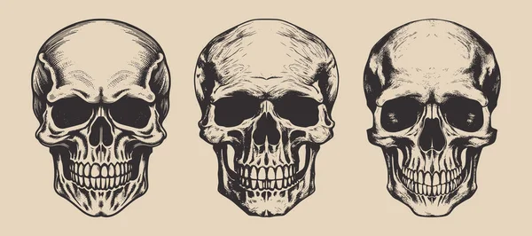 一套复古的吓人的嬉皮士头骨 可用作标志 标签等 海报或印刷品 单色图形艺术 手绘雕版元件 — 图库矢量图片