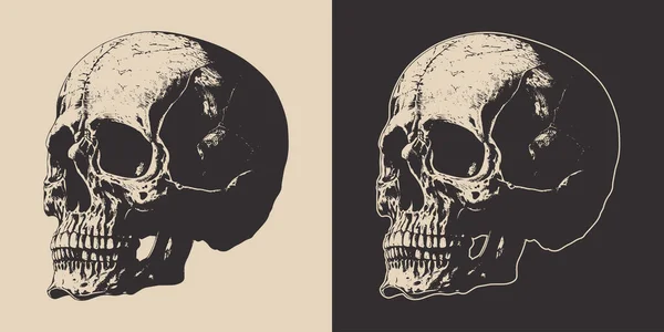 Conjunto Cráneo Retro Vintage Aterrador Puede Ser Utilizado Como Emblema — Archivo Imágenes Vectoriales