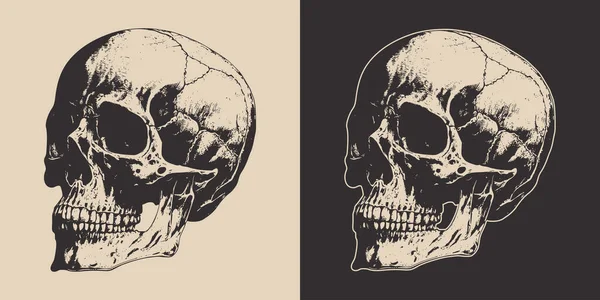 一套复古的可怕骷髅 可用作标志 标签等 海报或印刷品 单色图形艺术 手绘雕版元件 — 图库矢量图片