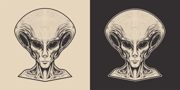 Vetores de Desenho Alienígena De Desenho Animado e mais imagens de  Alienígena - Alienígena, Acenar, Verde - Descrição de Cor - iStock