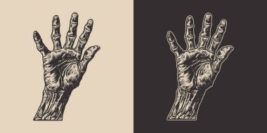 Klasik cadılar bayramı zombi zombi canavar eli kolu. Ürkütücü korkunç bir illüstrasyon. Monokrom Grafik Sanatı. Vektör. Oymacılıkta el çizimi ögesi