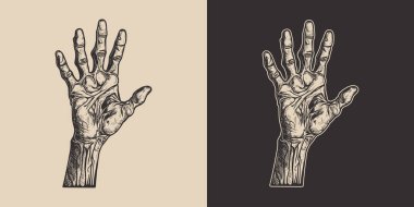 Klasik cadılar bayramı zombi zombi canavar eli kolu. Ürkütücü korkunç bir illüstrasyon. Monokrom Grafik Sanatı. Vektör. Oymacılıkta el çizimi ögesi